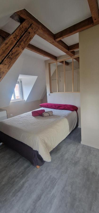 Henner Des Trois Frontieres Apartment แซ็ง-ลุยส์ ภายนอก รูปภาพ